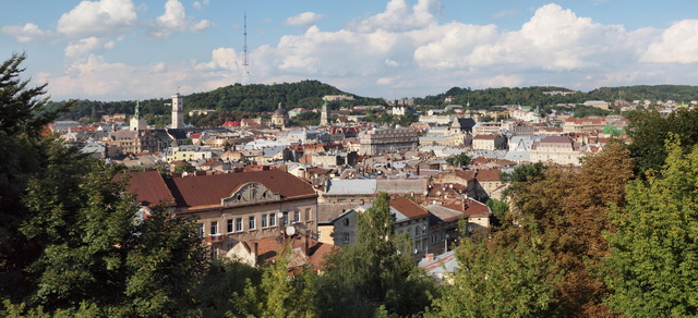 Вид Львова с цитадели